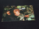 75048-          APEN / APES / AFFEN / SINGES / SIMIOS - Monkeys