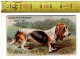 KL 5308 - SPRATT'S PATENT - PRIZE DOGS - SERIES N° 4 - Altri & Non Classificati