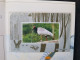China Sweden Joint Issue Pheasant Rare Bird 1997 Birds (folder Set) MNH - Nuovi