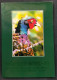 Delcampe - China Sweden Joint Issue Pheasant Rare Bird 1997 Birds (folder Set) MNH - Ongebruikt
