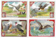 S 872, Liebig 6 Cards, Oiseaux De Proie (small Damage) (ref B23) - Liebig