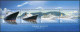 Gibraltar 1076-1079,1079a Sheet,MNH. Cruise Ships,2007. - Gibraltar