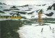 2 AK Antarctica /Antarktis * Die Polnische Arctowski-Station Auf Der Insel King George - Zu Den South Shetland Islands * - Otros & Sin Clasificación