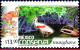 Ref. MX-2432 MEXICO 2005 - CONSERVATION, MANGROVESWAMPS, BIRDS, (13.00P), MNH, NATURE 1V Sc# 2432 - Flamencos