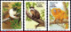 Ref. BR-2474-76 BRAZIL 1994 - MONKEYS, NATURE,PRESERVATION, MI# 2589-2591, SET MNH, ANIMALS, FAUNA 3V Sc# 2474-2476 - Nuevos