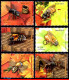 Ref. BR-3304-S BRAZIL 2015 - BEES, WITH AROMATIC RESIN, STAMPS OF MINI SHEET MNH, INSECTS 6V Sc# 3304 - Api