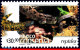 Ref. MX-2376 MEXICO 2004 - CONSERVATION - REPTILES,SNAKES, ALLIGATOR, TURTLE, (30.00P),MNH, ANIMALS, FAUNA 1V Sc# 2376 - Mexique