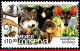 Ref. MX-2267 MEXICO 2002 - CONSERVATION, LANDMAMMALS, BEAR, DEER, DOG, (10.00P), MNH, NATURE 1V Sc# 2267 - Mexique