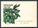 RC 27475 MAROC N° 510 AGRICULTURE OLIVES ENCART 1er JOUR TIRAGE 140 Ex SIGNÉ JEAN DANDINE - Marruecos (1956-...)