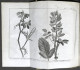 Lo Spettacolo Della Natura Esposto In Varj Dialoghi - Tomo V - Ed. 1752 - Unclassified