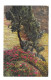 Alpen FloraAlpenflora Rhododendron Stone Pine Nenke Ostermaier Serie L No 520 Photochrome Postcard - Fleurs