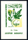 RC 27486 MAROC N° 531 AGRICULTURE LE COTON ENCART 1er JOUR TIRAGE 115 Ex SIGNÉ JEAN DANDINE - Morocco (1956-...)