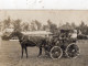 DANS LES VOSGES VITTEL ? HIPPODROME(  CARTE PHOTO ) - Autres & Non Classés