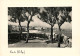 64 - Biarritz - La Plage Vue à Travers Les Tamaris - Mention Photographie Véritable - CPSM Grand Format - Carte Neuve -  - Biarritz