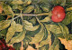 Art - Peinture Religieuse - Martin Schongauer - La Vierge Au Buisson De Roses - Détail - Colmar - Cathédrale Saint Marti - Paintings, Stained Glasses & Statues