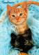 Animaux - Chats - CPM - Voir Scans Recto-Verso - Cats