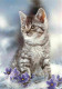 Animaux - Chats - CPM - Voir Scans Recto-Verso - Cats