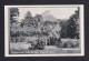 1 P. Bild-Ganzsache "Botanical Gardens Capetown" - Ungebraucht - Bäume