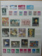 Delcampe - Europa U.a. Frankreich, Spanien Postfrisch Im Einsteck Album #LY625 - Collections (en Albums)