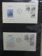 Delcampe - Schweden FDCs Ab 1966 Besammelt Im Ring Binder #LY667 - Andere & Zonder Classificatie