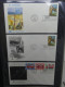 Vereinte Nationen New York FDCs Ab 1966 Besammelt Im Ring Binder #LY663 - Collections (en Albums)