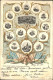 41327086 Newark_New_Jersey Seals Of The Thirteen States Which Declared The Indep - Other & Unclassified