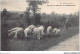 ADWP2-71-0131 -elevage Des Moutons En CHAROLLAIS - Charolles