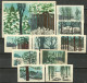 RUSSIA 1973 Matchbox Labels - Winter Forest - Animals (catalog # 246 ) - Matchbox Labels