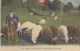 LES PYRENEES: Moutons Au Pâturage - Berger - Bekende Personen