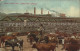 32358877 Chicago_Illinois Union Stock Yards Cattle Pens - Other & Unclassified