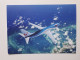 Airline Issued Card. TUI B 737 - 1946-....: Modern Era