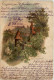 Nürnberg - Litho - Blick Auf Die Burg - Nürnberg