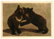 Two Brown Bear Cubs Playing. Unused Postcard. Publisher Pravda, Moscow Russia USSR 1963 - Ours