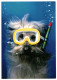 Dog With Snorkel Scuba Diving Mask. Unused Funny Postcard. Publisher Avanti Press, Floggeer AB, Sweden 1995 - Dogs