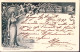 1896-Cartolina Postale Nozze Principe Ereditario Vignetta Colore Verde Grigio Vi - Entero Postal