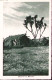 1937-ERITREA Ordinaria C.20 (196) Isolato Su Cartolina Massaua (3.3) - Erythrée