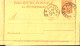 1901-biglietto Postale Non Scritto C.20 (B5) Annullo Firenze (15.11) Bordi Integ - Entero Postal