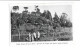 Colegio Carmen Arriola De Marín - Barranca Del Colegio Vista Desde El Campo De Deportes - Argentina   6851 - Schulen