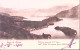 1901-LAGO Di COMO Cartolina Viaggiata LECCO-COMO/N 2 C.2 (4.5) Per La Svizzera - Como