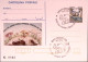 1995-FUNGHI E CASTAGNE Cartolina Postale IPZS Lire 700 Ann Spec - Interi Postali
