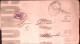 1879-SERVIZIO STATO Sopr. C.2/0,02 (29) Isolato Su Manifesto/stampe Avviso Di Me - Marcophilie