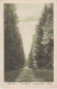 Romania - Tusnad Bai - Drumul Vechi - Timbru Supratipar 8 Iunie 1930 - Rumänien