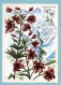 Carte Maximum 1983 - Fleurs De Montagne - Martagon - YT 2267 - 31 Toulouse - 1980-1989