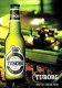 [MD9508] CPM - TUBORG BIRRA THE FUN STARTS HERE - PROMOCARD 4348 - PERFETTA - Non Viaggiata - Pubblicitari