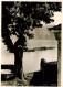 13919541 Ronco_sopra_Ascona_Locarno_TI Panorama - Other & Unclassified