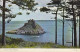 AK 214737 ENGLAND - Torquay - Thatcher Rock - Torquay