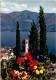 25-4-2024 (3 Z 3) Italy - Brissago (flowers) - Arbres
