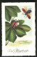 AK Maikäfer Mit Briefmarken Auf Einem Blatt  - Insects