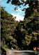 25-4-2024 (3 Z 3) FRance (posted With FM Military Flag Of France Stamp) Forêt Noire - Le Saut Du Cerf - Trees