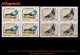 CUBA. BLOQUES DE CUATRO. 2001-25 IV CONGRESO FEDERACIÓN COLOMBÓFILA DE CUBA. PALOMAS - Unused Stamps